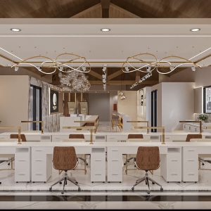 Luxury Nails & Skin Care 3000 sqft New Build Project 02